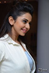 Rakul Preet Singh at Sarrainodu Movie Success Meet